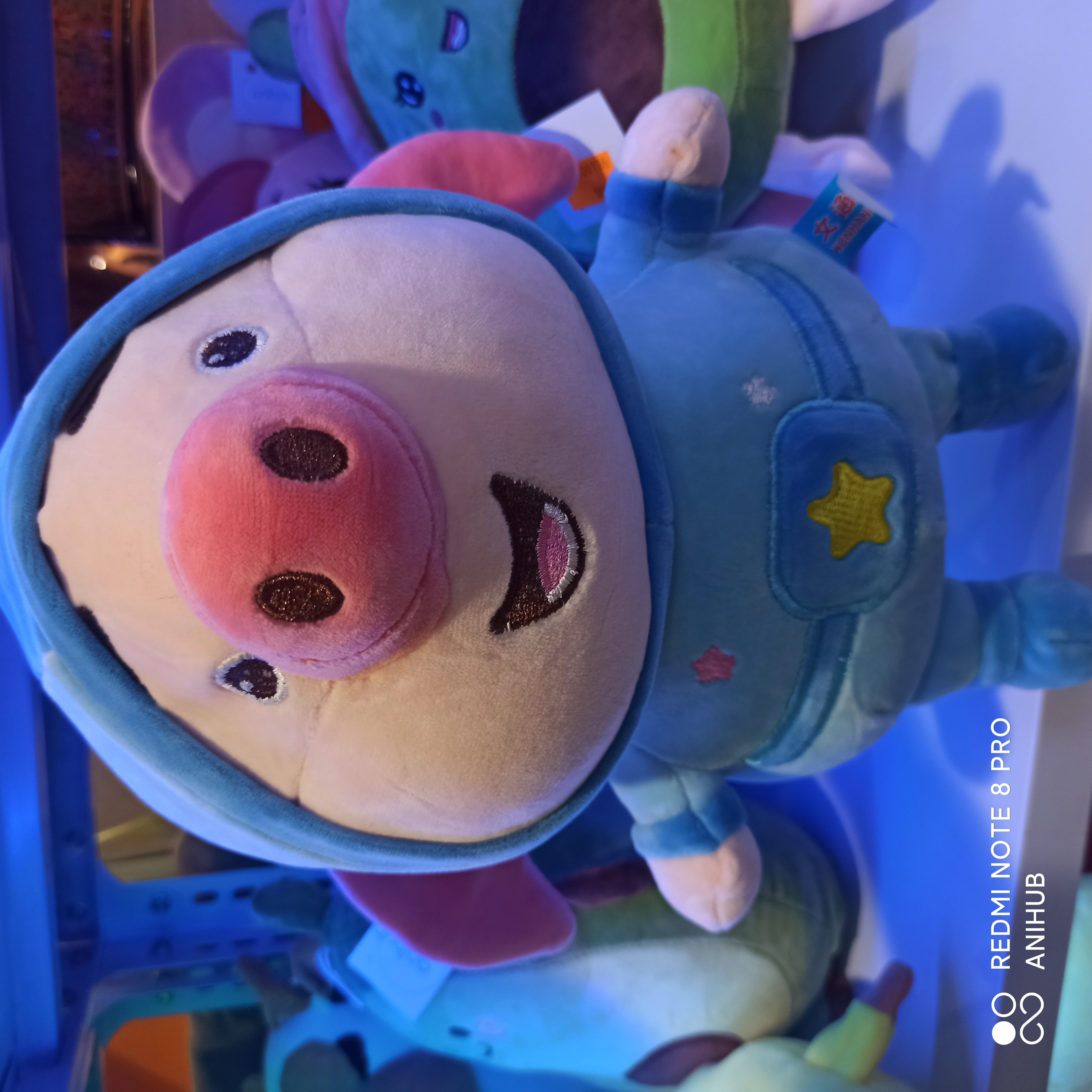 Pig plush
