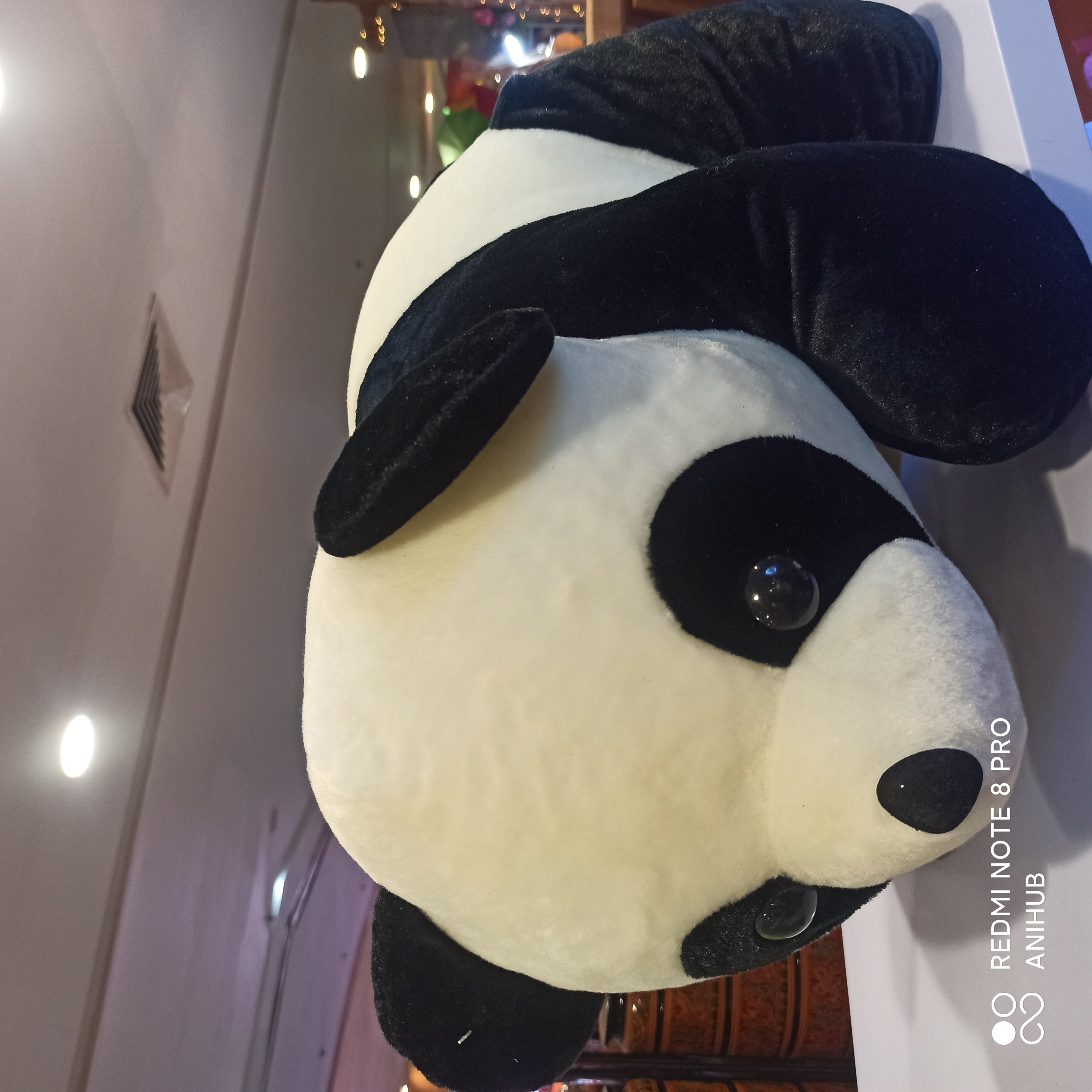 Panda plush