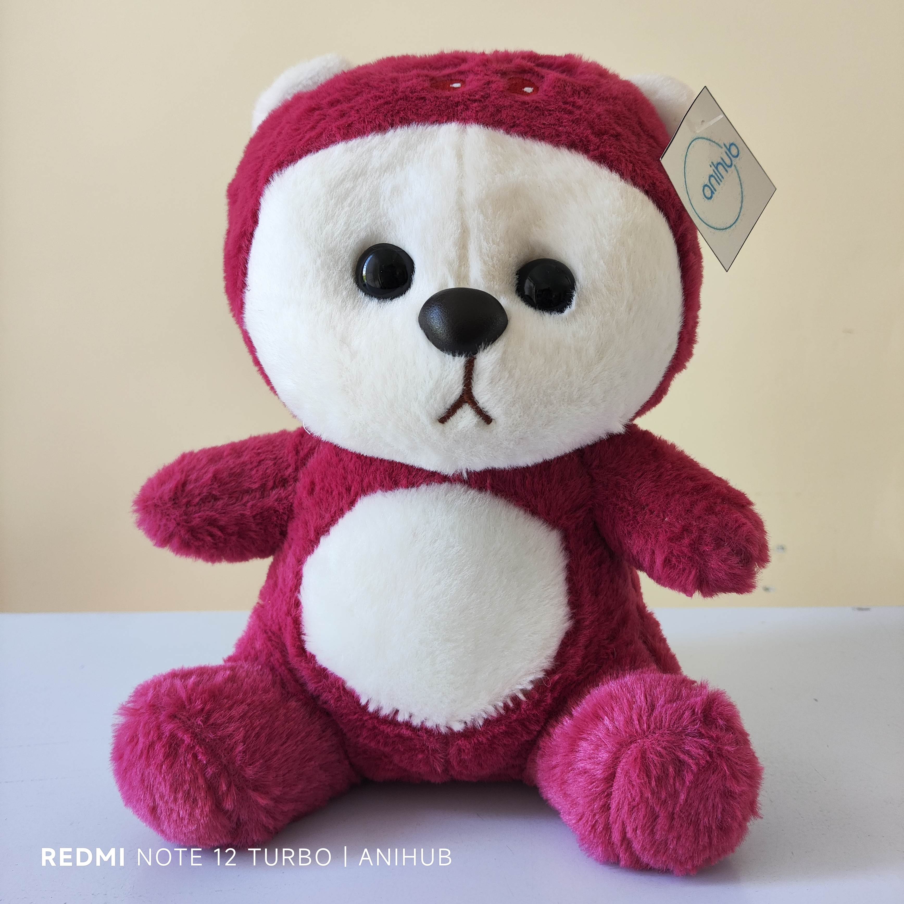 Dog With Strawberry Hat 25cm